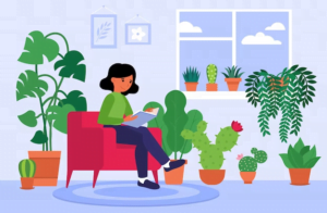 Indoor plants for air purification in India: